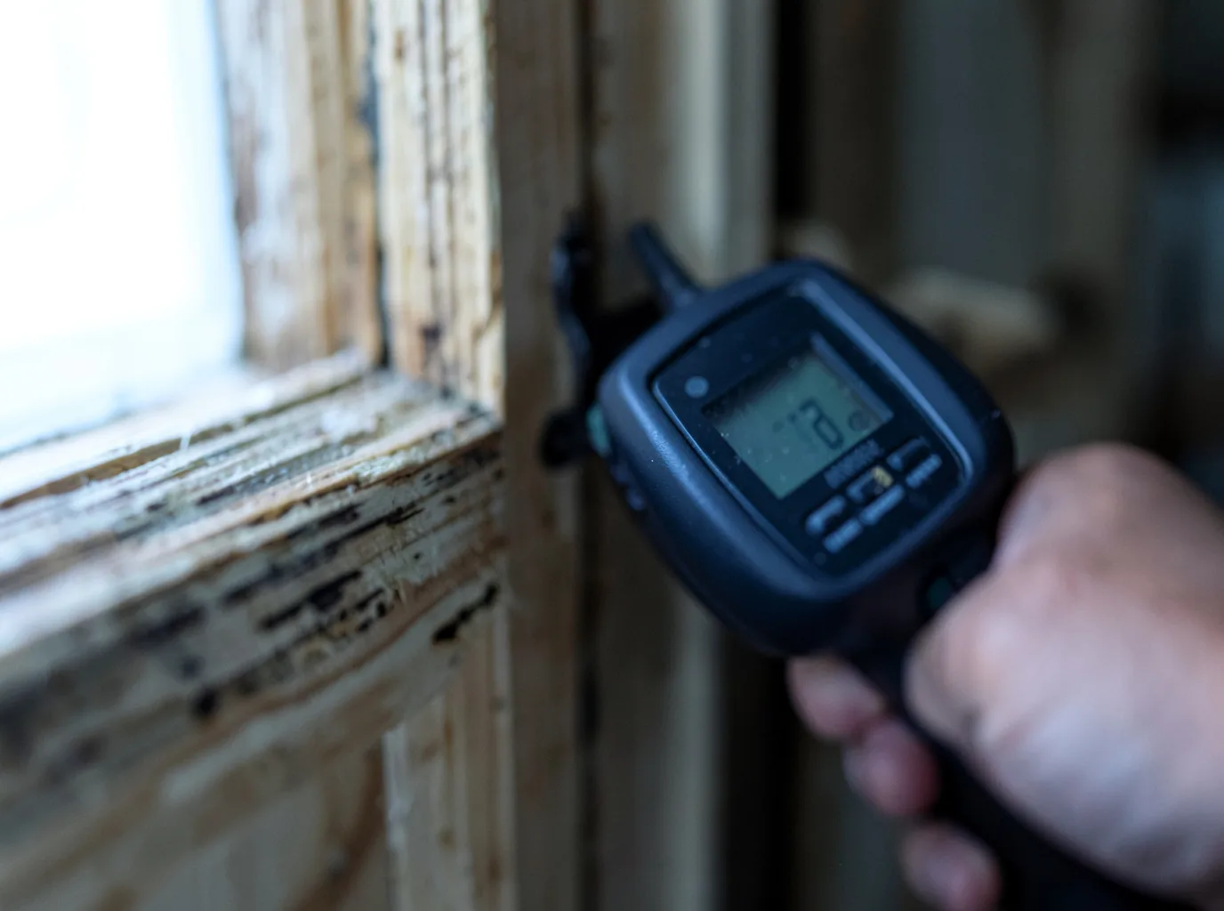 Moisture Inspection And Documentation in Bays, KY